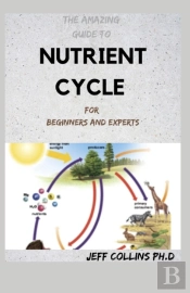 The Amazing Guide To Nutrient Cycle For Beginners And Experts