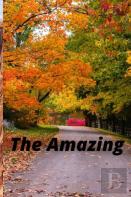 The Amazing