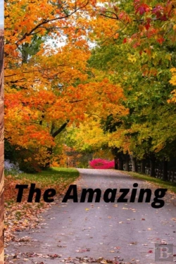 Bertrand.pt - The Amazing
