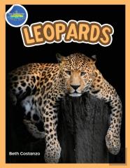 The Amazing World Of Leopards Booklet With Activities Ages 4-8