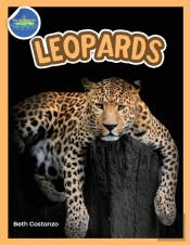 The Amazing World Of Leopards Booklet With Activities Ages 4-8