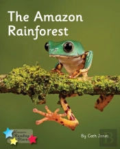 The Amazon Rainforest