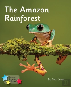 Bertrand.pt - The Amazon Rainforest