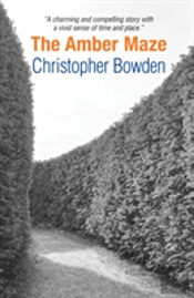 The Amber Maze