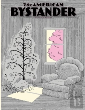 The American Bystander #19