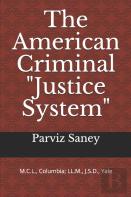 The American Criminal ''Justice System''