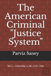 The American Criminal 'Justice System'
