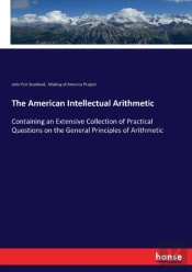 The American Intellectual Arithmetic