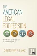 The American Legal Profession