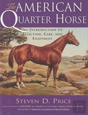 The American Quarterhorse