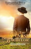 The Amish Bachelor