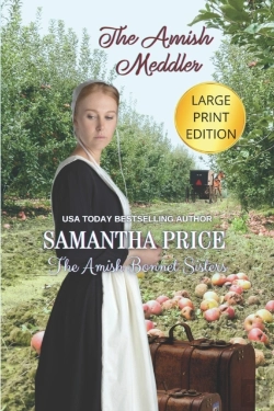 Bertrand.pt - The Amish Meddler Large Print