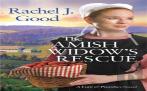 The Amish Widow'S Rescue