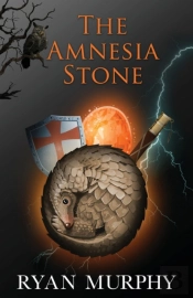 The Amnesia Stone