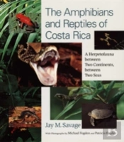 The Amphibians And Reptiles Of Costa Rica