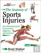The Anatomy Of Sports Injuries