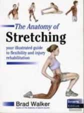 The Anatomy Of Stretching