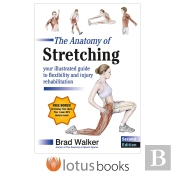 The Anatomy Of Stretching