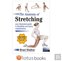 Bertrand.pt - The Anatomy Of Stretching
