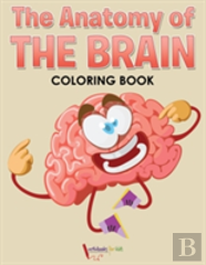 The Anatomy Of The Brain Coloring Book