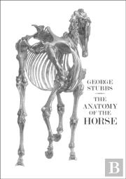 The Anatomy Of The Horse