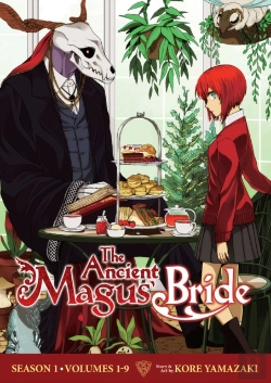 Bertrand.pt - The Ancient Magus' Bride - Season 1 Box Set (Vol. 1-9)