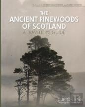 The Ancient Pinewoods Of Scotland