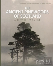 The Ancient Pinewoods Of Scotland