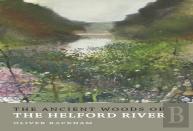 The Ancient Woods Of Helford River