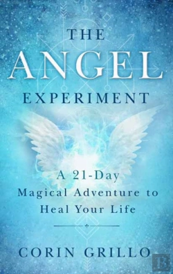 Bertrand.pt - The Angel Experiment