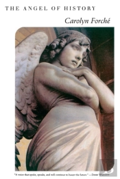 The Angel Of History
