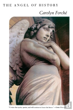 Bertrand.pt - The Angel Of History