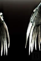 The Angels Of Resistance (Hardcover)