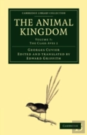 The Animal Kingdom