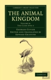 The Animal Kingdom