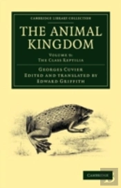 The Animal Kingdom