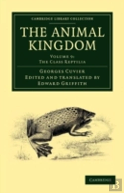 Bertrand.pt - The Animal Kingdom
