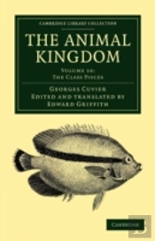 The Animal Kingdom