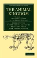 The Animal Kingdom