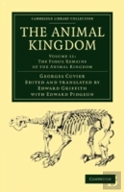 The Animal Kingdom