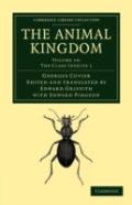The Animal Kingdom