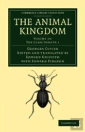The Animal Kingdom