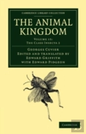 The Animal Kingdom