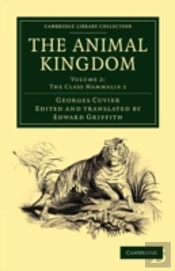 The Animal Kingdom