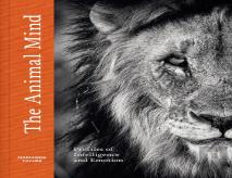 The Animal Mind