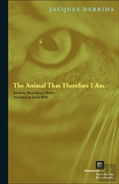 The Animal That Therefore I Am