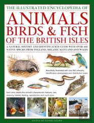 The Animals, Birds & Fish Of The British Isles, Illustrated Guide To