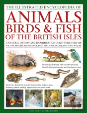 The Animals, Birds & Fish Of The British Isles, Illustrated Guide To