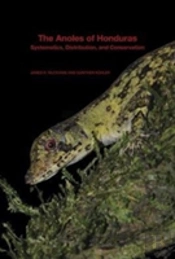 The Anoles Of Honduras