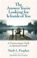 The Answer You'Re Looking For Is Inside Of You